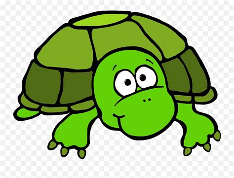 Download - Turtle Clipart Png Transparent Cartoon Jingfm Turtle Head ...