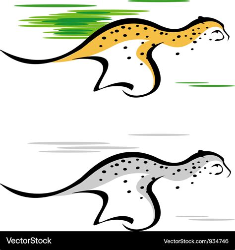 Cheetah running Royalty Free Vector Image - VectorStock