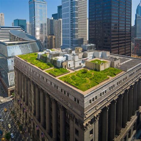 Rooftop Garden on top of city hall, Chicago! | Green roof city, Green ...