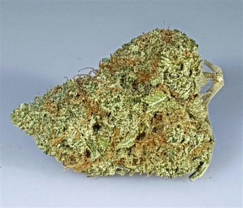 Grapefruit Kush Weed Strain Information | Leafly