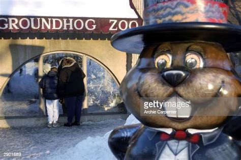 A giant hand painted statue of Punxsutawney Phil greets visitors to ...