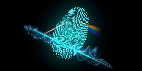 How Do Fingerprint Scanners Work? – SoFun