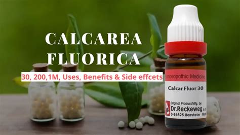 Calcarea Fluorica 30, 200, Q- Uses, Benefits & Side Effects