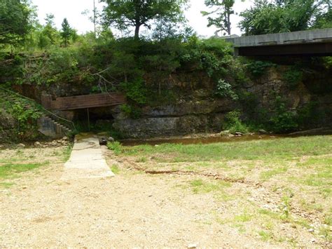 West Bank of Hall's Creek, Ravenden Springs, AR | Locals, Tree, Springs