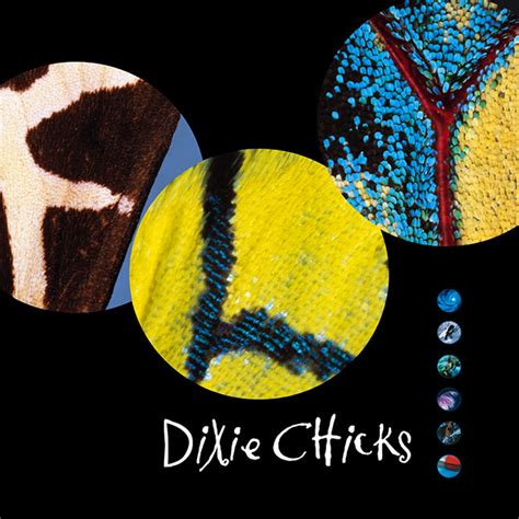 Album Dixie Chicks Home