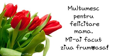 Felicitari de multumire pentru Mama - Multumesc, mama! - mesajeurarifelicitari.com