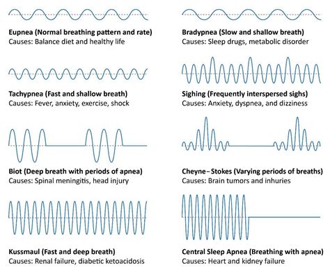 Respiratory Breathing Patterns