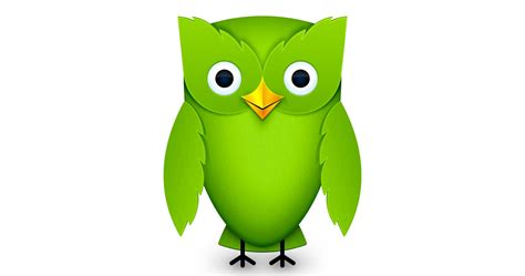 Meet The Duolingo Owl - The Bird That Changed Language Learning - duoplanet