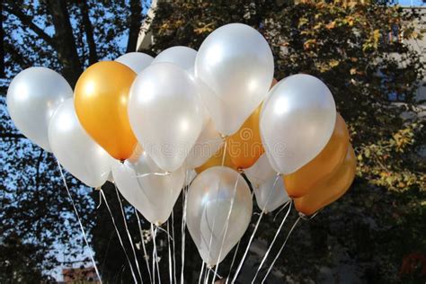 Helium Filled Party Balloons Stock Image - Image of yellow, color: 1603857