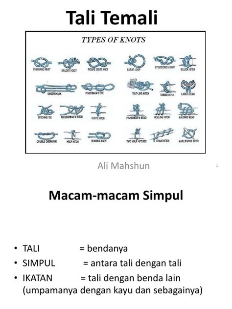 Macam Macam Tali Temali - 49+ Koleksi Gambar