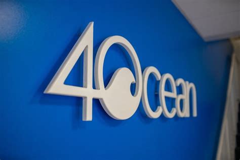 30 Ocean Conservation Organizations fighting to Save Marine Biodiversity