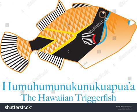 Colorful Vector Illustration Hawaiis State Fish Stock Vector (Royalty Free) 2253603281 ...