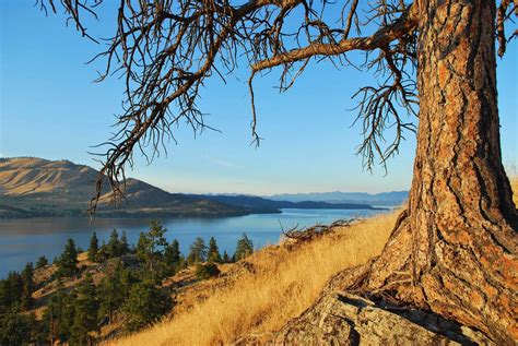 outside of the bubble: Wild Horse Island Flathead Lake picture