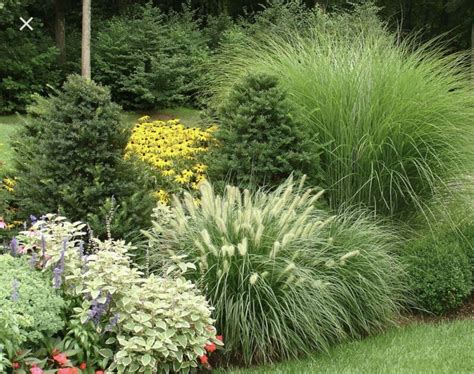 Pin by Julie Hardaway on Flower Bed Ideas | Grasses landscaping ...