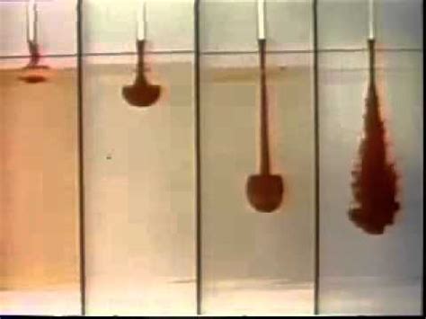 fluid mechanic viscosity Science Experiment - YouTube