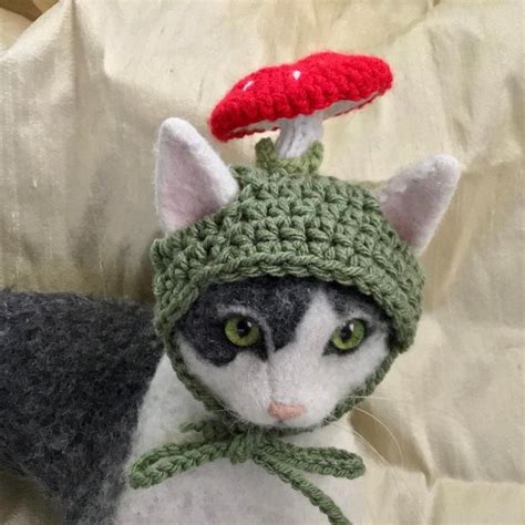 Mushroom hats for cats cat hat cat costumes cat photo | Etsy | Crochet cat, Cute crochet ...