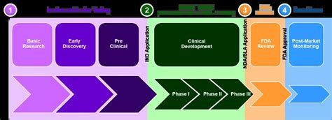 Drug Discovery, Drug Development Process | NorthEast BioLab