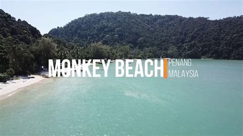 Monkey Beach - Penang, Malaysia - YouTube