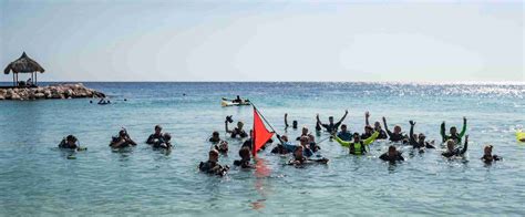 Blue Bay Beach Dive Site in Curaçao | Curaçao Diving Guide