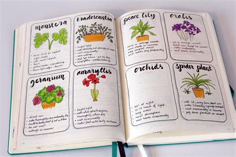 Bullet journal ideas: Plant care | Journal, Bullet journal, Plant journal