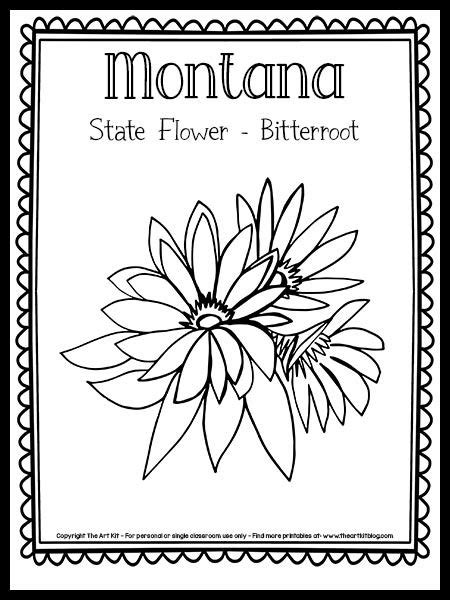 Montana State Flower Coloring Page (Bitterroot!) {FREE Printable ...