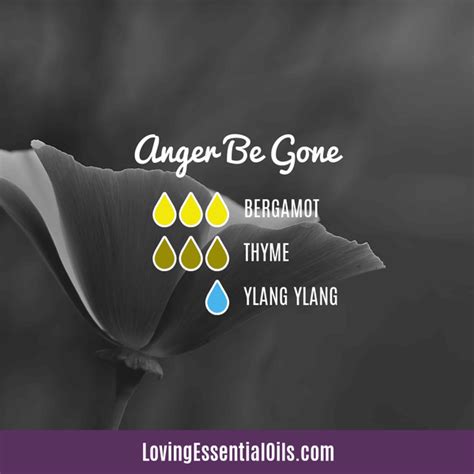 Thyme Diffuser Blends - Cleansing Essential Oil Recipes – Loving Essential Oils