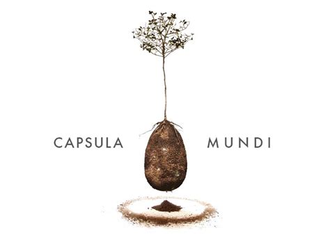 Capsula Mundi burial pods can turn cemeteries into forests