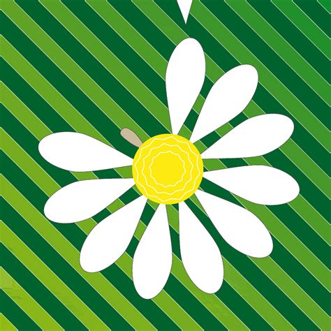 animated daisy flower gif - Google Search | Ilustração de flor, Como fazer flores, Margaridas
