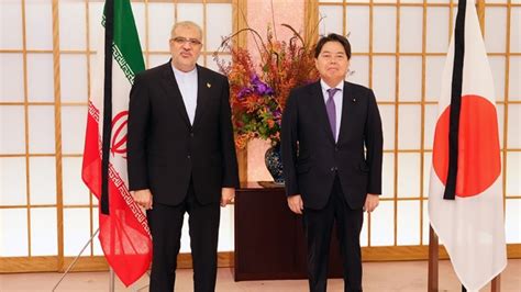 Japan determined to expand friendly ties with Iran: FM