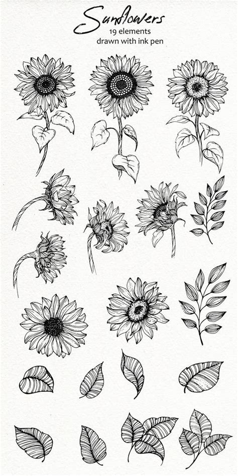 Sunflowers SVG PNG Sunflowers Clipart Printable Flowers - Etsy New ...