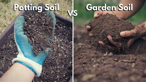 7 Best Potting Soil For Vegetables | July 2024 | Just Pure Gardening