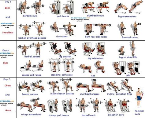 Workout plans to start using pin routine reference 3922229862 now. #simplyeffectiveworkoutplans ...