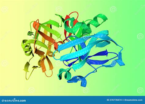 Crystal Structure of Human Pepsin 3b. Ribbons Diagram in Rainbow Colors ...