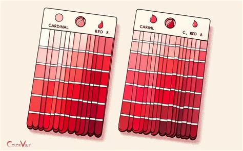 Cardinal Color Vs Red: Slightly Deeper!