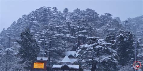 Snowfall in March surprises Shimla | Himachal Watcher