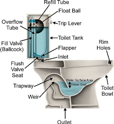 Toilets | Delta Plumbing