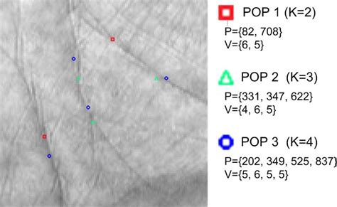 Some examples of POPs. | Download Scientific Diagram