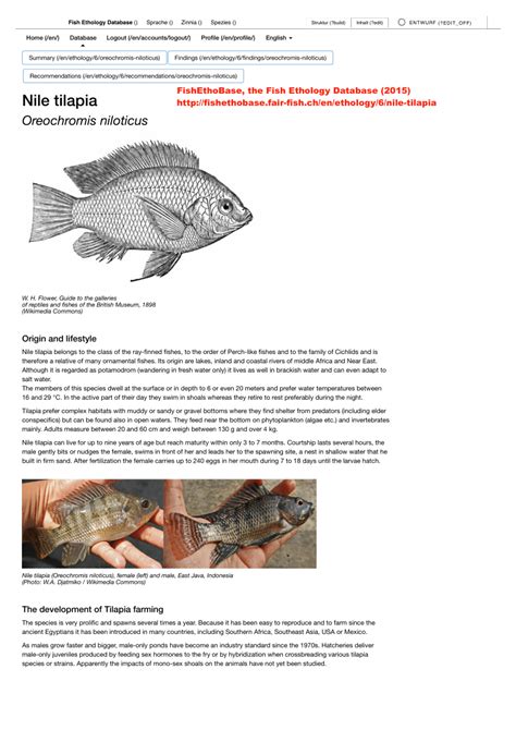 (PDF) Oreochromis niloticus in FishEthoBase (Summary)