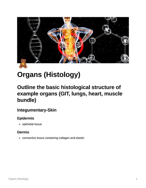 SOLUTION: Organs histology - Studypool