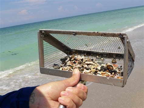 Caspersen Beach: Hunting for Shark Teeth — Forever Outside Co.