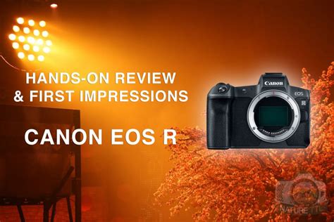 Canon EOS R Review: Hands-on and First Impressions | Nature TTL