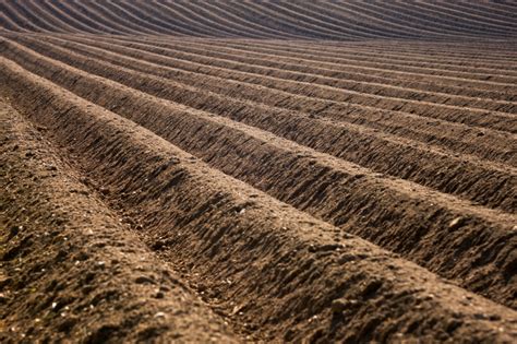 Peak soil is no joke: Civilization's foundation is eroding | Grist