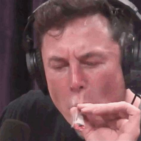 Elon Musk Twitter GIF - Find & Share on GIPHY