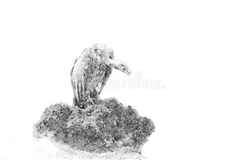 Vulture. Sketch With Pencil Stock Illustration - Illustration of gyps ...