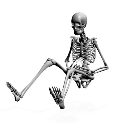 skeleton sitting in chair - Google Search | Human anatomy for artists, Anatomy bones, Human ...