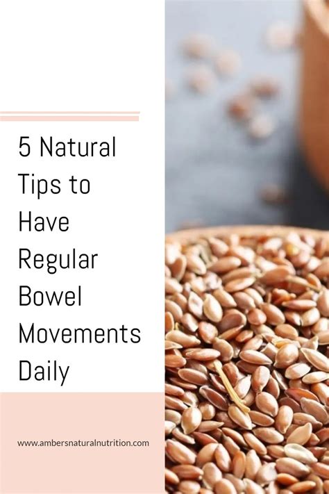 5 Tips to Have Regular Bowel Movements Daily - Amber's Natural Nutrition | Healthy bowel ...