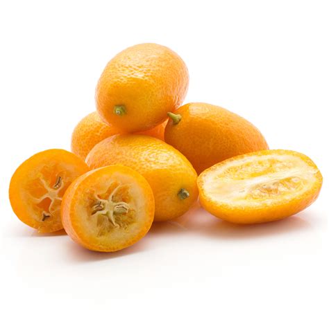 Nagami Kumquat For Sale Online by Alder and Oak Plants