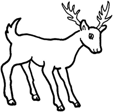 Printable Coloring Pages Deer Animals Coloring Pages