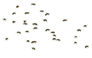 It wasp swarm clipart 20 free Cliparts | Download images on Clipground 2024