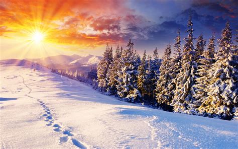 HD Sunset Mountains Clouds Landscapes Nature Winter Snow Trees Skyline Hills Sunlight Footprint ...